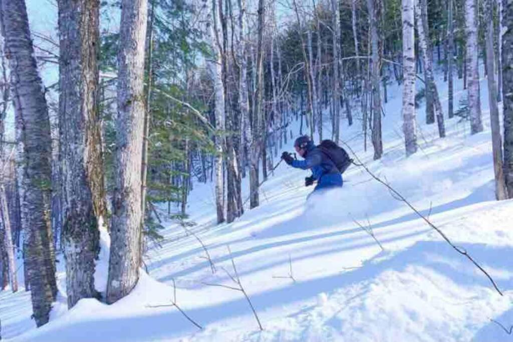 サン・タレクシ・デ・モン Chalet Falaise By Chalets Nabuヴィラ エクステリア 写真