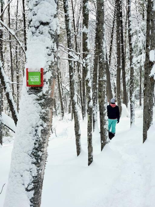 サン・タレクシ・デ・モン Chalet Falaise By Chalets Nabuヴィラ エクステリア 写真