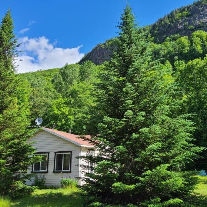 サン・タレクシ・デ・モン Chalet Falaise By Chalets Nabuヴィラ エクステリア 写真