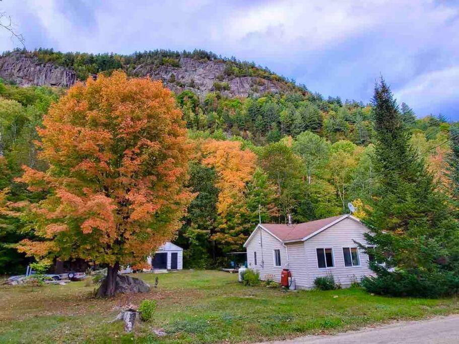 サン・タレクシ・デ・モン Chalet Falaise By Chalets Nabuヴィラ エクステリア 写真